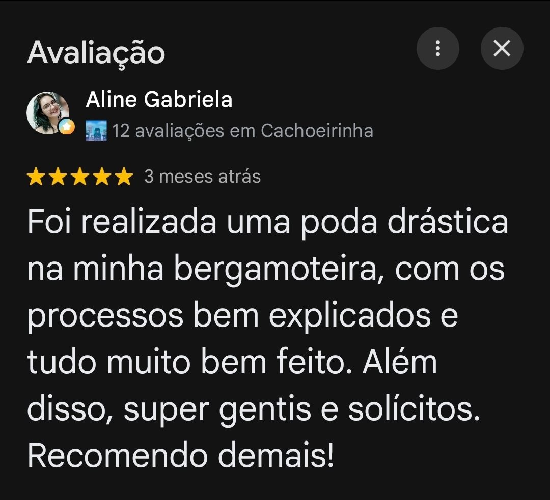 Avaliação de Aline Gabriela no Google