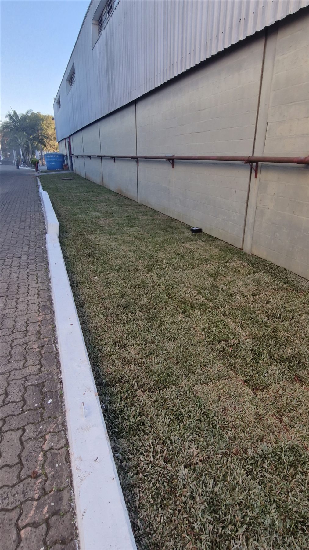 Manutenção de gramado em corredor lateral